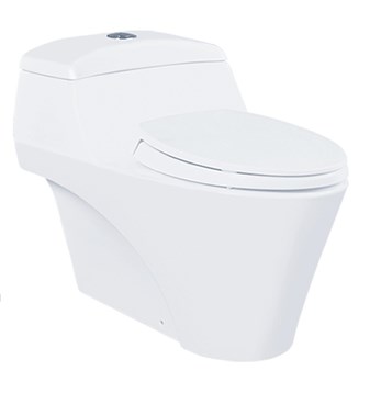 Bồn cầu 1 khối Toto CW823NW-F
