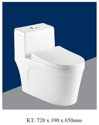 Bồn cầu liền khối AQUA - AQ2094 Bồn cầu liền khối AQUA - AQ2094