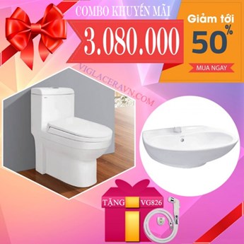 Combo Bồn cầu Viglacera V41 Combo Bồn cầu Viglacera V41