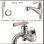 Combo sen tắm + vòi lavabo lạnh