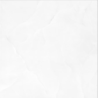 Gạch 60x60 cm TTC CN66001