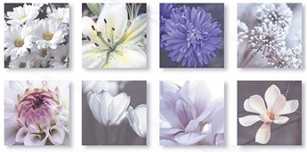 Gạch Điểm Ốp tường Thạch Bàn 30x60cm TKP36028 Gạch Điểm Ốp tường Thạch Bàn 30x60cm TKP36028
