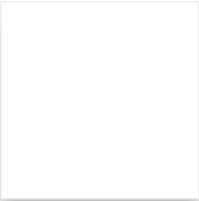 Gạch Đồng Tâm 200x200 mm TL01 Gạch Đồng Tâm 200x200 mm TL01