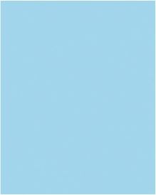 Gạch Đồng tâm 200x 250mm 2541 Gạch Đồng tâm 200x 250mm 2541