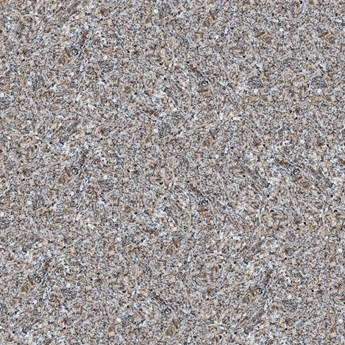 Gạch bóng kiếng PRIME 60x60cm 15643 Gạch bóng kiếng PRIME 60x60cm 15643
