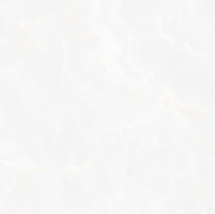 Gạch bóng kiếng toàn phần 60x60 cm TTC PN6609