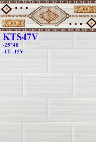 Gạch giá rẻ 25x40 KTS47V2