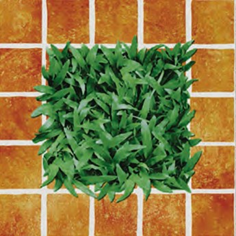 Gạch sân vườn 40x40 cm Đồng Tâm 4040CLG-002 Gạch sân vườn 40x40 cm Đồng Tâm 4040CLG-002