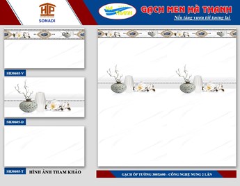 Gạch 30x60cm Hà Thanh SH30605 Gạch 30x60cm Hà Thanh SH30605