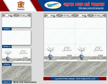 Gạch 30x60cm Hà Thanh SH30606 Gạch 30x60cm Hà Thanh SH30606