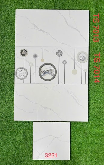 Gạch 30x60cm TASA đá bóng TS7013 Gạch 30x60cm TASA đá bóng TS7013
