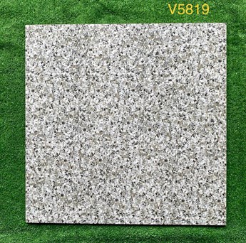 Gạch 50x50 cm vân đá hoa cương V5819 Gạch 50x50 cm vân đá hoa cương V5819