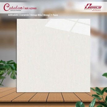 Gạch 60x60cm men bóng 62060 Gạch 60x60cm men bóng 62060