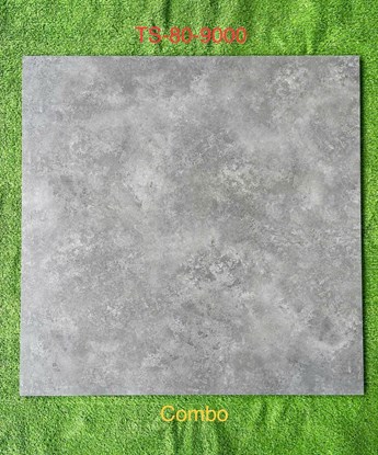 Gạch 80x80cm Porcelain Matt TASA TS9000 Gạch 80x80cm Porcelain Matt TASA TS9000