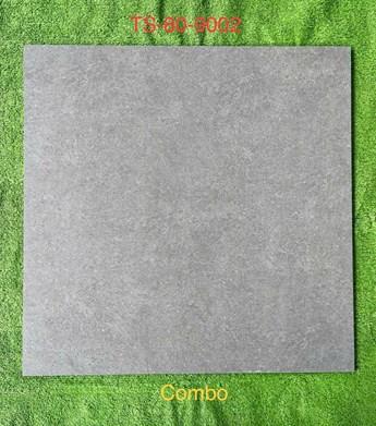 Gạch 80x80cm Porcelain Matt TASA TS9002 Gạch 80x80cm Porcelain Matt TASA TS9002