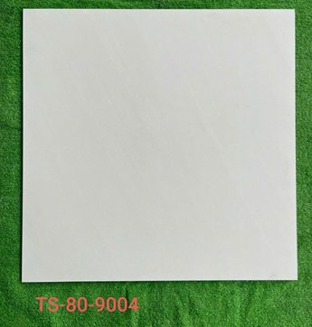 Gạch 80x80cm Porcelain Matt TASA TS9004 Gạch 80x80cm Porcelain Matt TASA TS9004