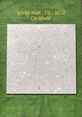 Gạch 80x80cm Porcelain Matt TASA TS9012 Gạch 80x80cm Porcelain Matt TASA TS9012