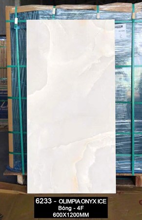 Gạch Ấn Độ 60x120cm  bóng 6233