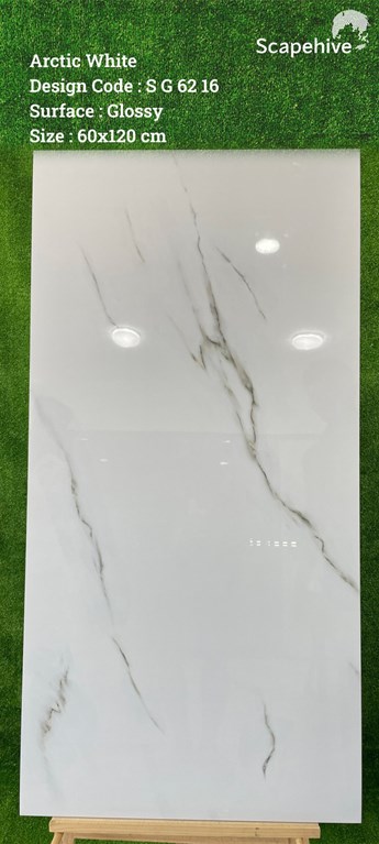 Gạch Ấn Độ 60x120cm SG6216 Gạch Ấn Độ 60x120cm SG6216
