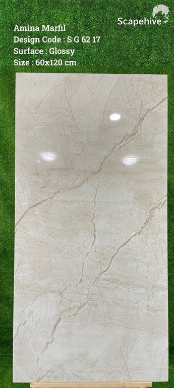 Gạch Ấn Độ 60x120cm SG6217 Gạch Ấn Độ 60x120cm SG6217