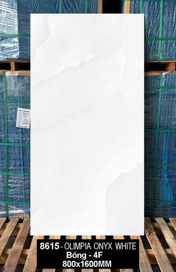 Gạch Ấn Độ 80x160cm 8615 bóng 