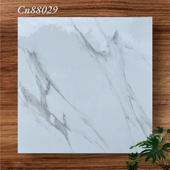Gạch bóng kiếng 80x80cm TTC - CN88029 Gạch bóng kiếng 80x80cm TTC - CN88029