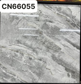 Gạch bóng kiếng TTC 60x60cm CN66055