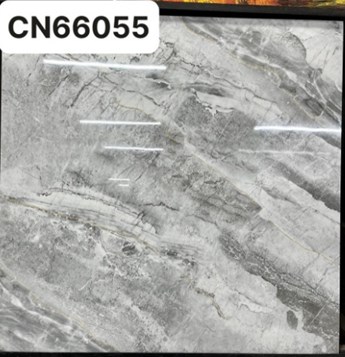 Gạch bóng kiếng TTC 60x60cm CN66055 Gạch bóng kiếng TTC 60x60cm CN66055