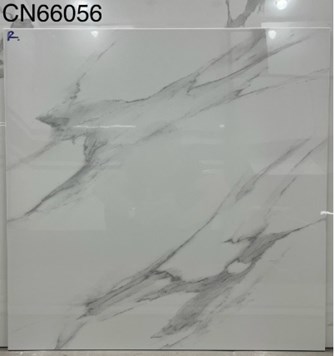 Gạch bóng kiếng TTC 60x60cm CN66056