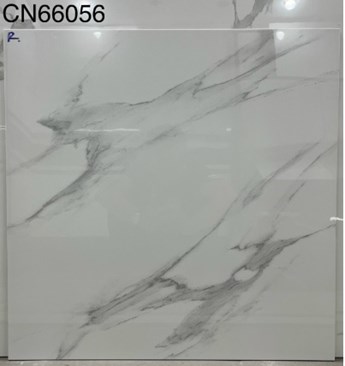 Gạch bóng kiếng TTC 60x60cm CN66056 Gạch bóng kiếng TTC 60x60cm CN66056