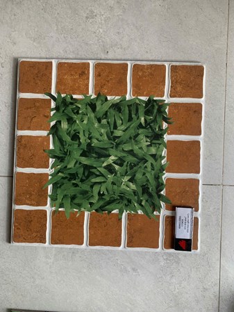 Gạch Đồng Tâm sân vườn 40x40cm CLG002