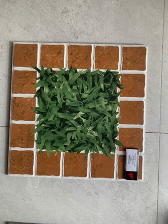 Gạch Đồng Tâm sân vườn 40x40cm CLG002