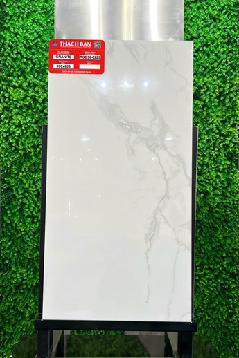 Gạch Thạch Bàn 30x60cm Granit Bóng TGB36-0225 Gạch Thạch Bàn 30x60cm Granit Bóng TGB36-0225