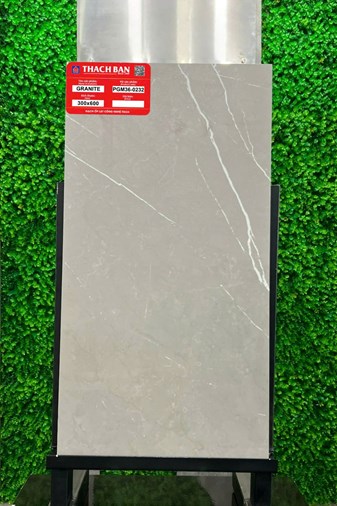 Gạch Thạch Bàn 30x60cm Granit PGM36-0232