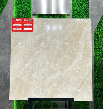 Gạch Thạch Bàn 60x60cm Granit bóng TGB60-0041 Gạch Thạch Bàn 60x60cm Granit bóng TGB60-0041