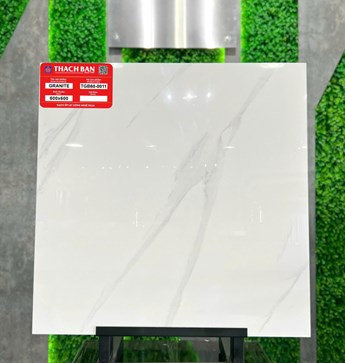 Gạch Thạch Bàn 60x60cm TGB60-0011 Gạch Thạch Bàn 60x60cm TGB60-0011