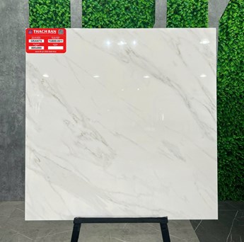 Gạch Thạch Bàn 80x80cm TGB80-0011 Gạch Thạch Bàn 80x80cm TGB80-0011