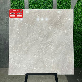 Gạch Thạch Bàn 80x80cm TGB80-0042 Gạch Thạch Bàn 80x80cm TGB80-0042