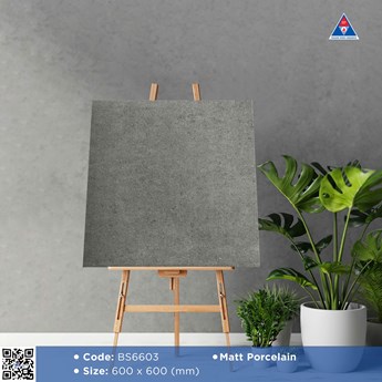 Gạch Viglacera 60x60cm mờ BS6603 Gạch Viglacera 60x60cm mờ BS6603