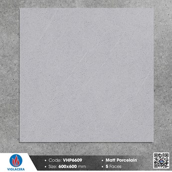 Gạch Viglacera 60x60cm mờ VHP6609 Gạch Viglacera 60x60cm mờ VHP6609