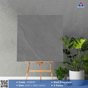 Gạch Viglacera 80x80cm Mờ HM806